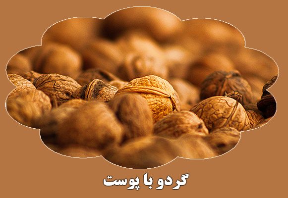 دسته بندی-200-.