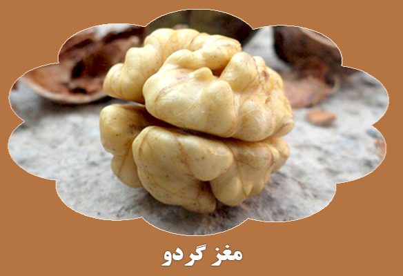 دسته بندی 201-.